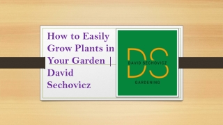How to Easily Grow Plants in Your Garden |  David Sechovicz
