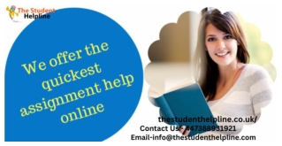 Online Assignment Help UK