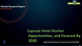 Capsule Hotel Market Revenue Growth and Quantitative Analysis Till 2030