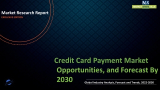 Credit Card Payment Market Revenue Growth and Quantitative Analysis Till 2030