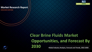 Clear Brine Fluids Market Revenue Growth and Quantitative Analysis Till 2030