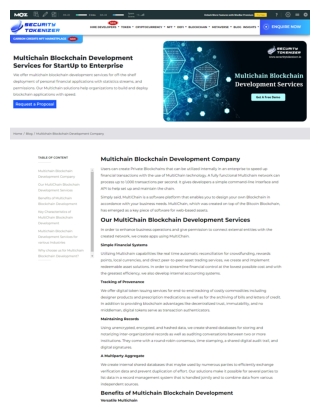 Multichain Blockchain Development Services for StartUp to Enterprise