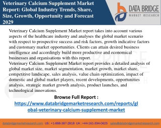 Veterinary Calcium Supplement Market