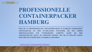 Professionelle Containerpacker Hamburg | Packteam24.de