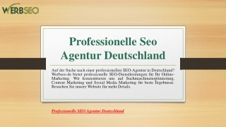 Professionelle Seo Agentur Deutschland | Werbseo.de