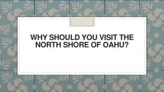 Why Should You Visit the North Shore of Oahu