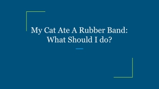 My Cat Ate A Rubber Band_ What Should I do_