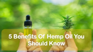 5 Benefits Of Hemp Oil You Should Know