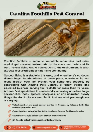 Catalina Foothills Pest Control | Tucson termite treatment