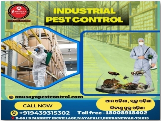 Best Water Proofing Services In Bhubaneswar