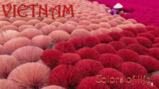Vietnam Colors of life1
