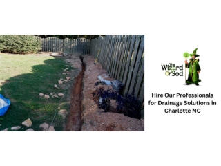 Hire Our Professionals For Drainage Solutions In Charlotte NC