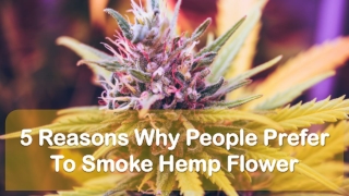 5 Reasons Why People Prefer To Smoke Hemp Flower