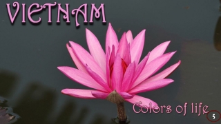 Vietnam Colors of life5