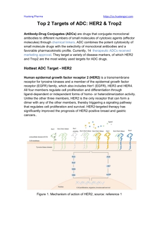 Top 2 Targets of ADC HER2 & Trop2