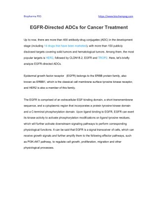 EGFR-Directed ADCs for Cancer Treatment