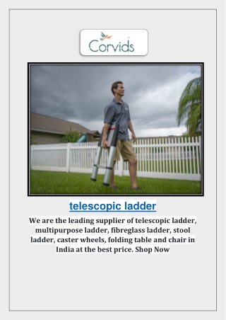 Leading Supplier of Telescopic Ladder