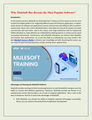 Why MuleSoft Has Become the Most Popular Software?