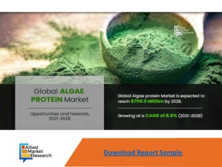 Algae Protein Market