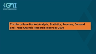 Trichlorosilane Market Size 2022