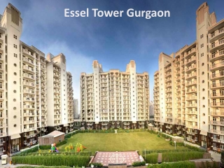 Essel Tower Apartment for Sale Gurgaon | Essel Tower