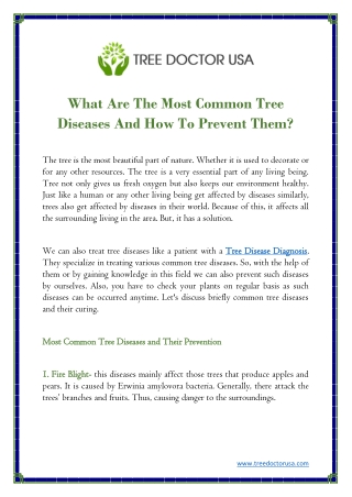 What Are The Most Common Tree Diseases And How To Prevent Them