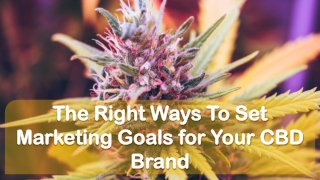 The Right Ways To Set Marketing Goals for Your CBD Brand