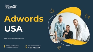 Adwords USA - Local USA SEO Services