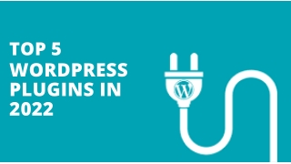 Top 5 WordPress Plugins that Make Your Site beautiful in 2022