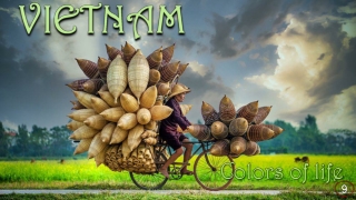 Vietnam Colors of life9