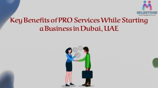 Key Benefits of PRO Services While Starting a Business in Dubai, UAE