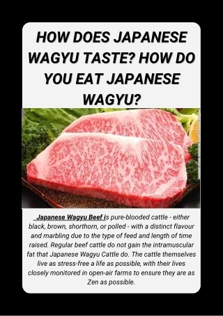 How Does Japanese Wagyu Taste How Do You Eat Japanese Wagyu