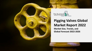 Pigging Valves Global Market Growth, Trends, By Product Type, By Technology, Industry Vertical, Opportunity and Forecast