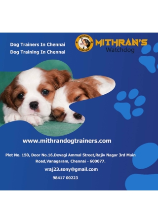 Dog Trainers In Chennai (1)
