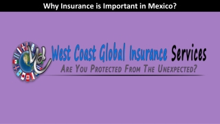 Why is Insurance Important in Mexico
