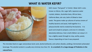 Kefir Grains india