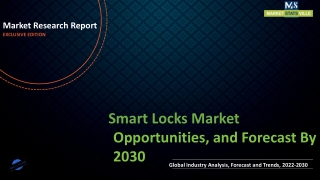 Smart Locks Market Revenue Growth and Quantitative Analysis Till 2030