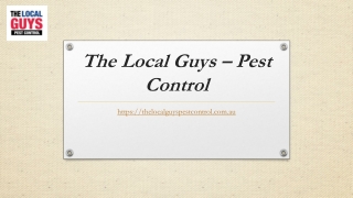 Pest Control Melbourne | Thelocalguyspestcontrol.com.au