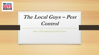 Pest Control Sydney | Thelocalguyspestcontrol.com.au