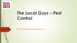 Termite Treatment Sydney | Thelocalguyspestcontrol.com.au