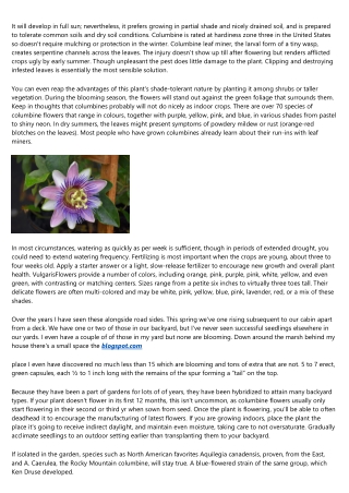 How To Develop And Deal With Columbine Flower