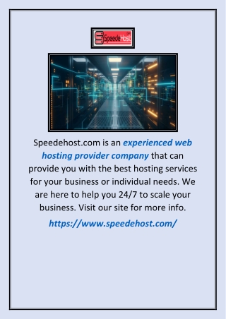 Experienced Web Hosting Provider Company | Speedehost.com