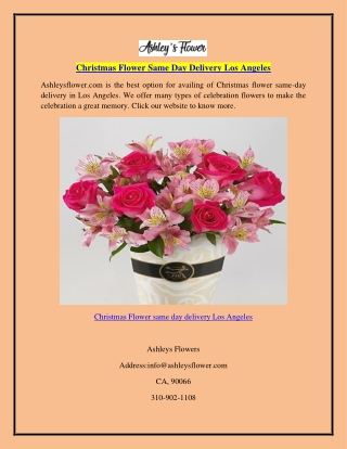 Christmas Flower Same Day Delivery Los Angeles  Ashleysflower