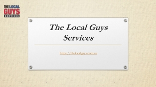 Franchise for Sale Adelaide | Thelocalguys.com.au