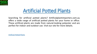 Artificial Potted Plants  Artificialplantimporters.com.au
