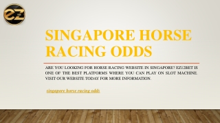 Singapore Horse Racing Odds | EZ12BET