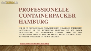 Professionelle Containerpacker Hamburg | Packteam24.de