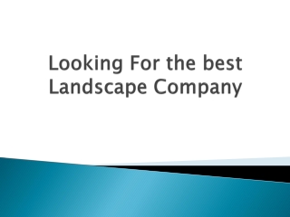 Looking-For-the-best-Landscape-Company