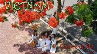 Vietnam Colors of life10