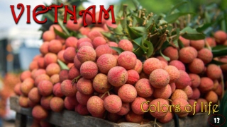 Vietnam Colors of life13